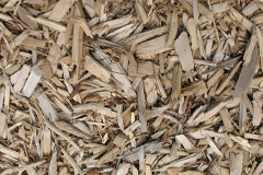 biomass boilers Amalebra