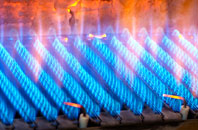 Amalebra gas fired boilers